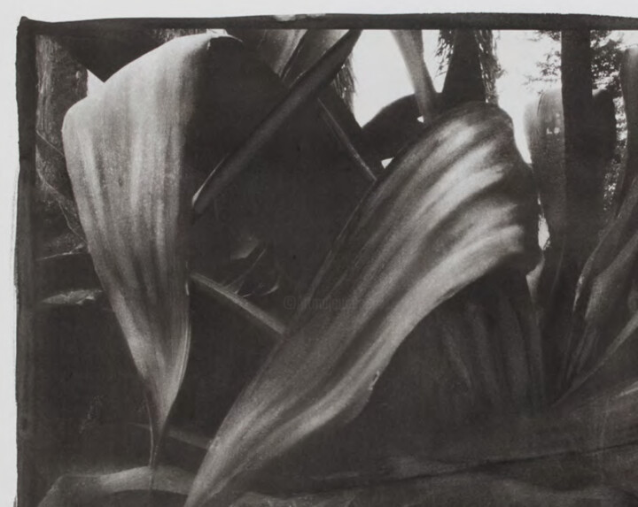 Photographie intitulée "Botanique #3, 2017" par Marie-Jeanne  Caprasse, Œuvre d'art originale