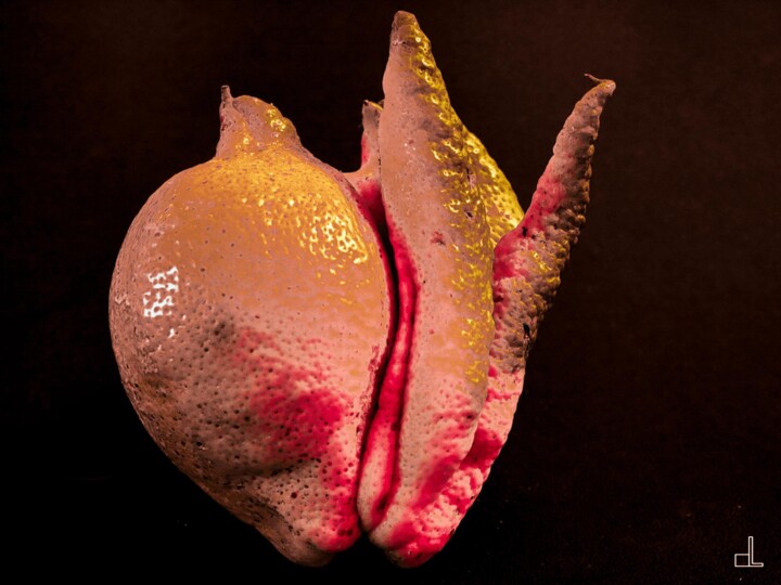 Printmaking titled "Coeur brisé" by Christian Lefevre, Original Artwork, Aluminium