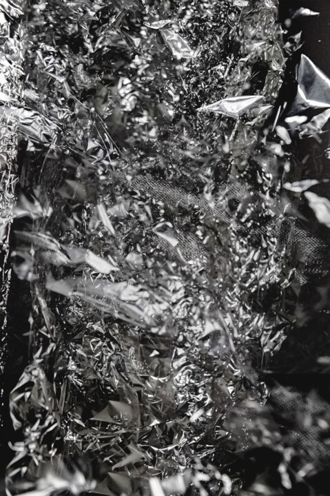 EXOPLANET FOREST Fotoğraf, 31,5x20,9 in