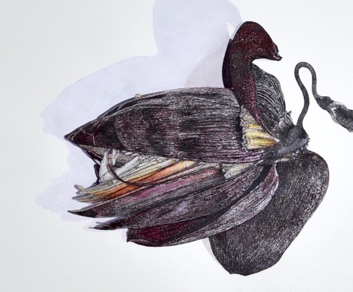 Drawing titled "The More you Peel..." by Avishek Sen, Original Artwork, Ink