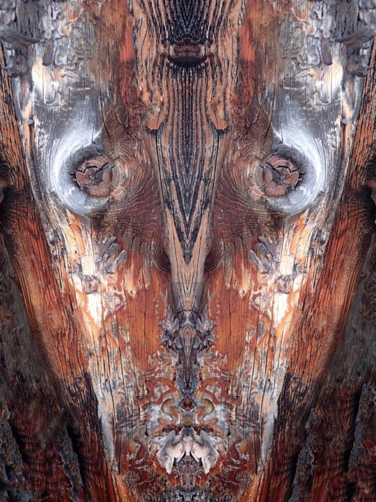 Photography titled "SYLVANUS" by Francis Grosjean, Original Artwork, Aluminium