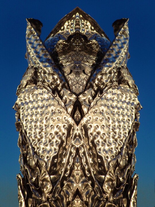 Photography titled "SETHI" by Francis Grosjean, Original Artwork, Aluminium