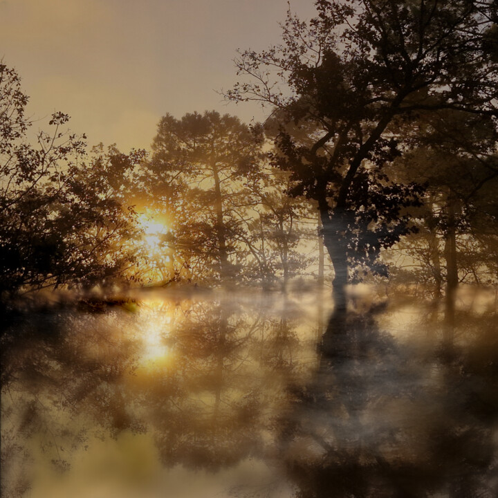 Photography titled "Aube dorée " by Adam Akner, Original Artwork, Aluminium