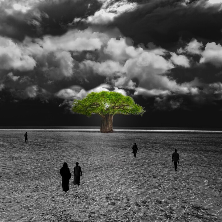 Photographie intitulée "Refuge" par Adam Akner, Œuvre d'art originale, Aluminium