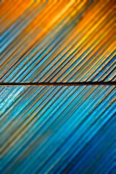 Digital Arts titled "DIAGONALES" by Na Ganna... !!, Original Artwork, Aluminium