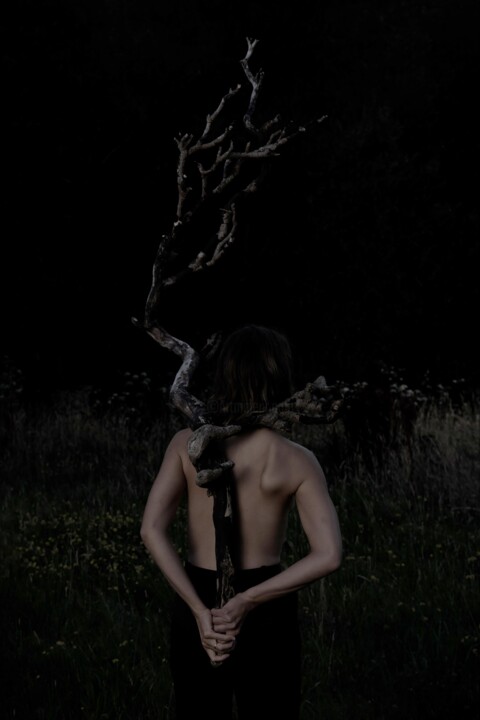 Photography titled "Dramatisation esthé…" by Laurent Paillier, Original Artwork, Digital Print