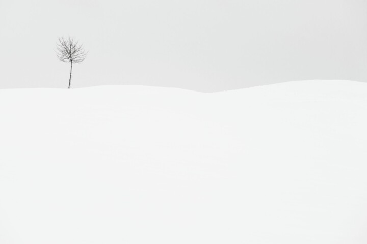 Fotoğraf,  23,6x35,4 in 