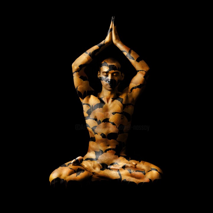 homme-feuille-franck-1-zen 数字艺术, 27.6x27.6 in