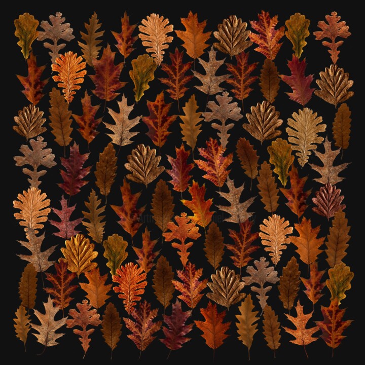"crea-feuilles-11-ch…" başlıklı Dijital Sanat Daniel Nassoy tarafından, Orijinal sanat, Dijital baskı
