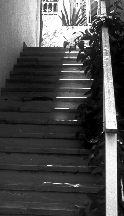 Saint Barth 1998 escalier Photography, 11.8x7.9 in