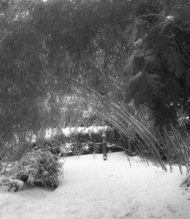 neige à Versailles hivers 2011 Фотография, 11,8x7,9 in