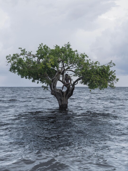 Photography titled "Refúgio (Refuge ),…" by Gleeson Paulino, Original Artwork, Digital Print