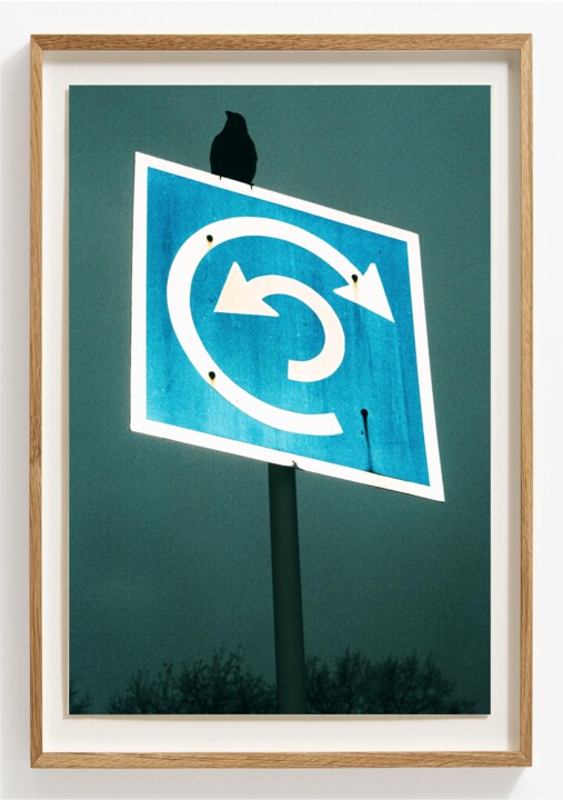 Photography titled "Onomatopeia" by Viktor Shekularatz, Original Artwork, Analog Print