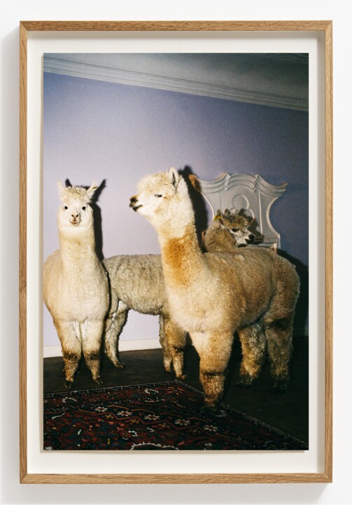 Photography titled "Introversion is a s…" by Viktor Shekularatz, Original Artwork, Analog Print