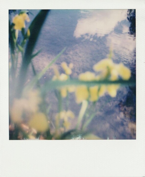 Fotoğraf,  4,3x3,5 in 