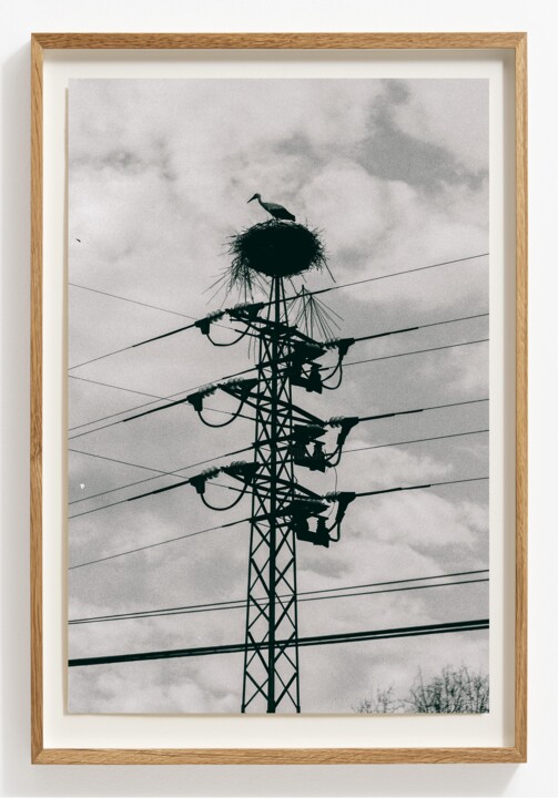 Photography titled "Philosophical skept…" by Viktor Shekularatz, Original Artwork, Paper