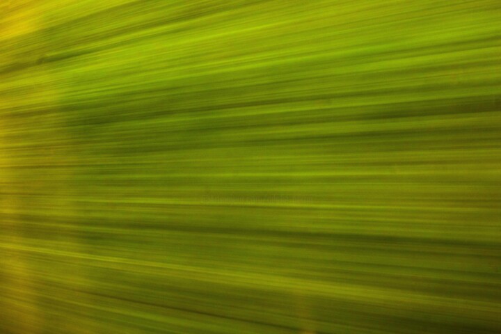 Photographie intitulée "###15" par Adélie Perrin, Œuvre d'art originale, Papier