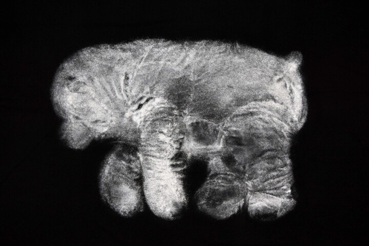 Photography titled "Pompej" by Katharina Duwen, Original Artwork, Digital Print