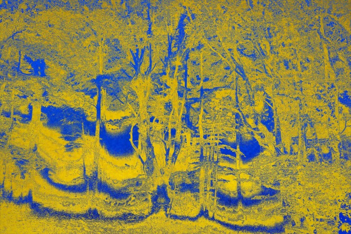 la foret enchantée 1 série "Orea imago" Fotografia, 6,3x9,5 in