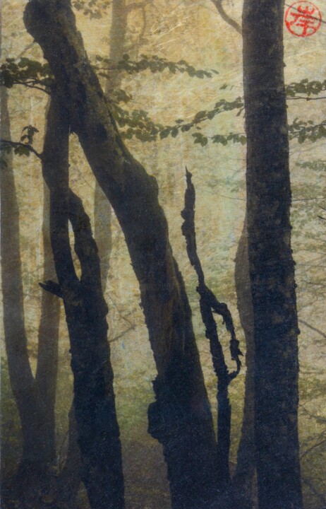 la forêt enchantée 3 série "Orea imago" Fotografia, 7,1x4,7 in