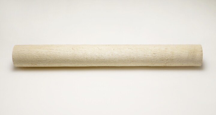Sculpture titled "Tilia America 01" by Amentia Siard Brochard, Original Artwork, Wood