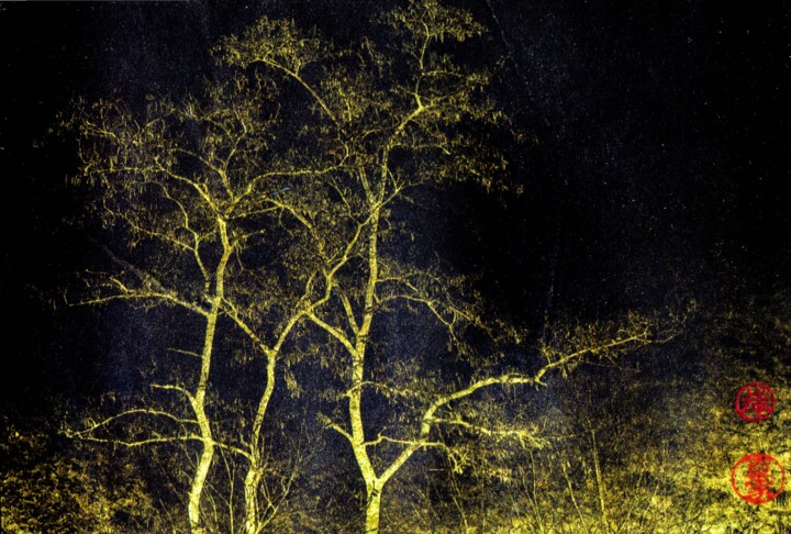 la foret enchantée 5 fond d or, série "Orea imago" 摄影, 4.7x7.1 in