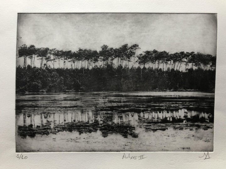 Printmaking titled "Arbres VII" by Daniel Nassoy, Original Artwork, Engraving