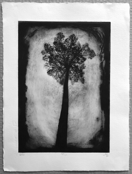 Pin Incisioni, stampe, 11,8x15,8 in