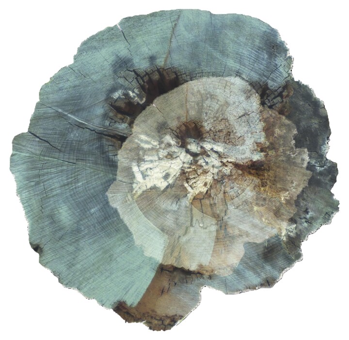 Digital Arts titled "Murmure de géant #02" by Corinne Bresson, Original Artwork, Digital Print