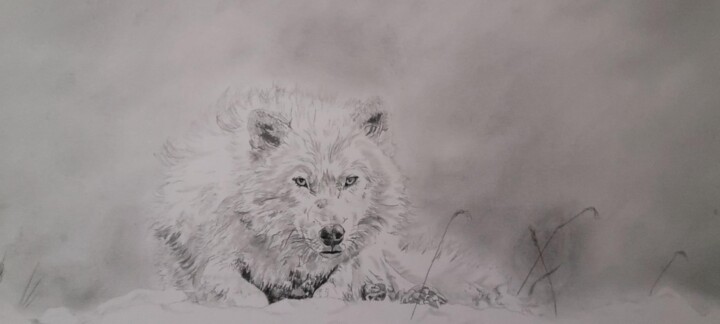Desenho,  10,4x16,3 in 
