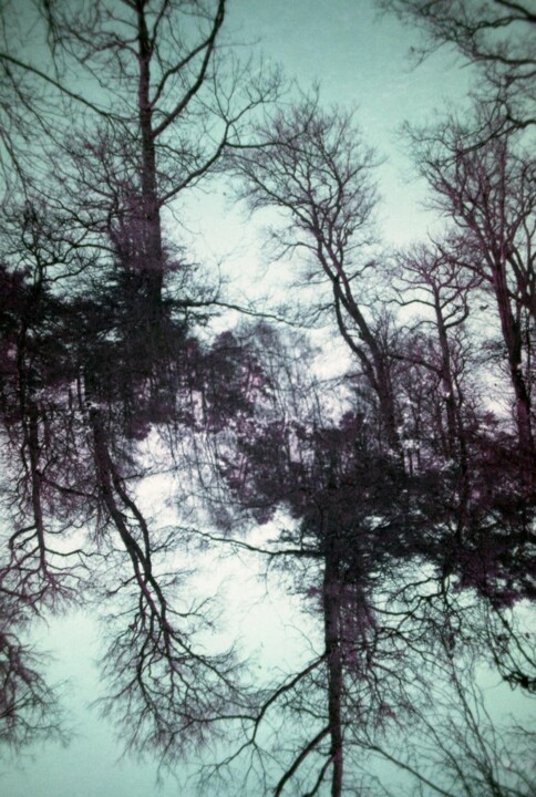 Printmaking titled "Dreesens-Theorem-01" by Richard Dreesens, Original Artwork, Digital Print