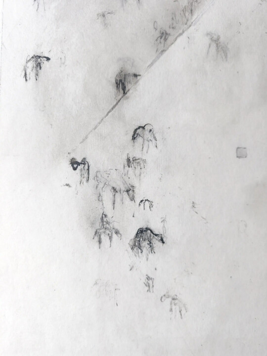 Additional views 4