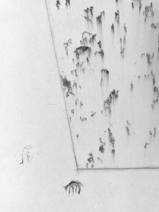 Additional views 3