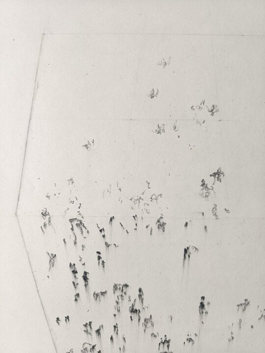 Drawing titled "Chevaux en boîte" by Frédérique Nolet De Brauwere, Original Artwork, Ink