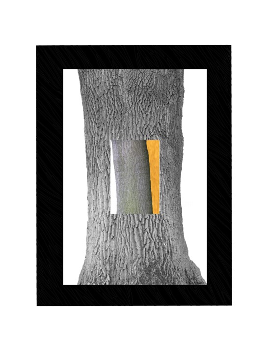 Σχέδιο,  17,7x12,6 in 