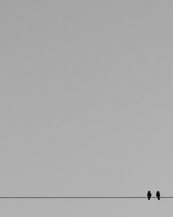 Fotografia,  39,4x31,5 in 