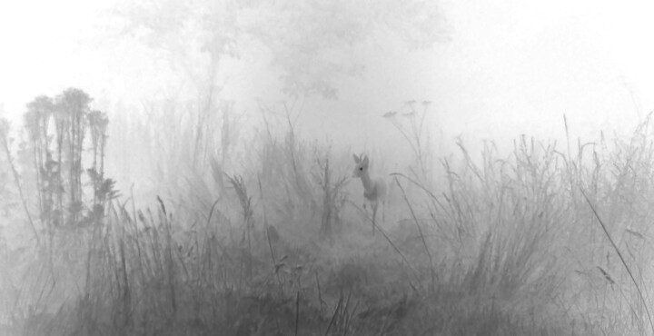 Photography titled "Futif 1#" by Nicolas Bralet, Original Artwork, Analog Print