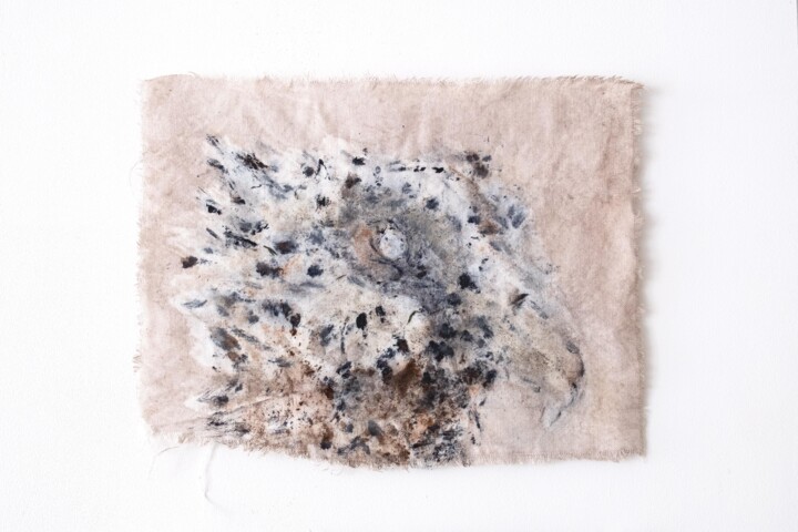 Painting titled "Esprit du gipaete" by Cathy Cocat, Original Artwork, Fabric