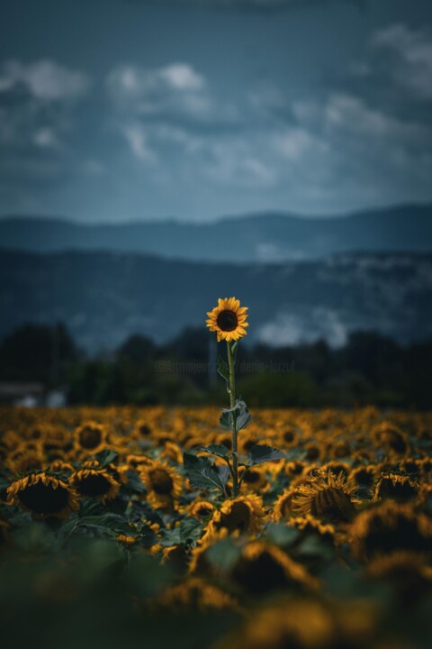 Du caractère Fotografie, 59,1x39,4 in