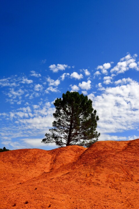 Far west Fotografie, 27,6x15,8 in