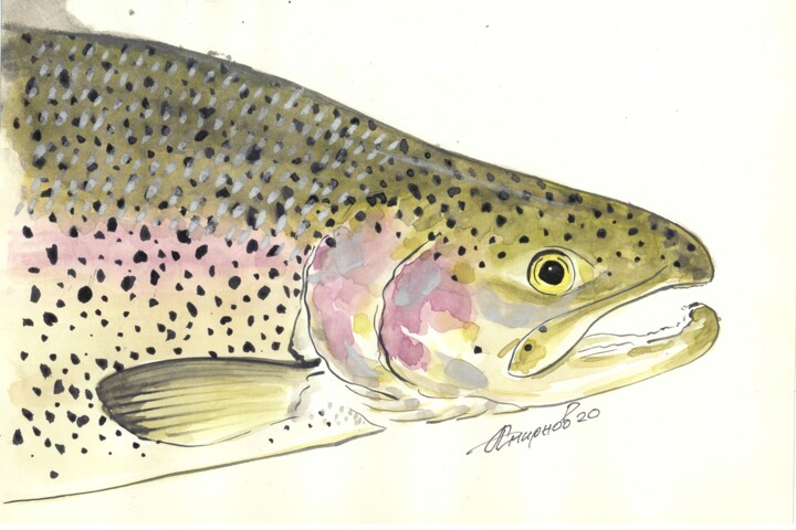 Oncorhynchus gorbuscha Painting, 8.3x11.8 in