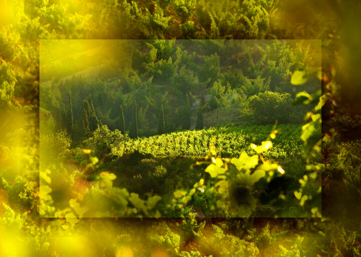 Fotografía titulada "Chlorophylle en mar…" por Gilles Deschamps (OXPIRIT), Obra de arte original, Fotografía digital Montado…