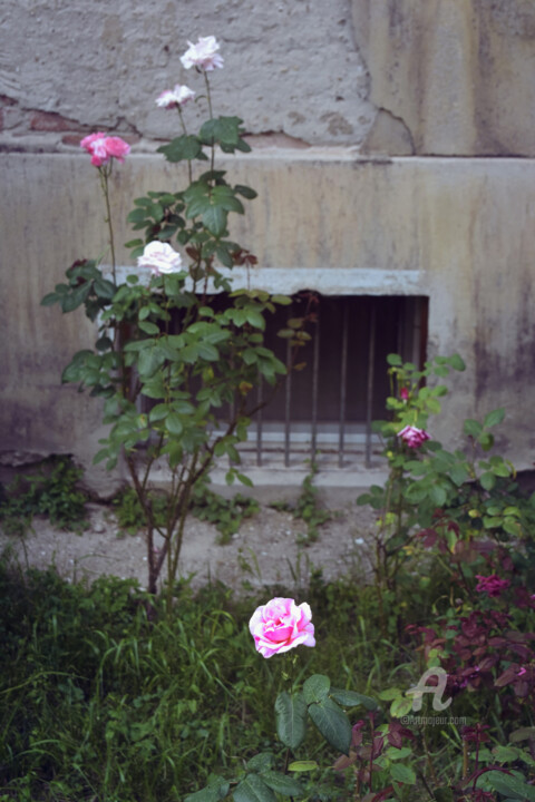 Fotografie getiteld "Prisoner" door Alen Gurovic, Origineel Kunstwerk, Digitale fotografie