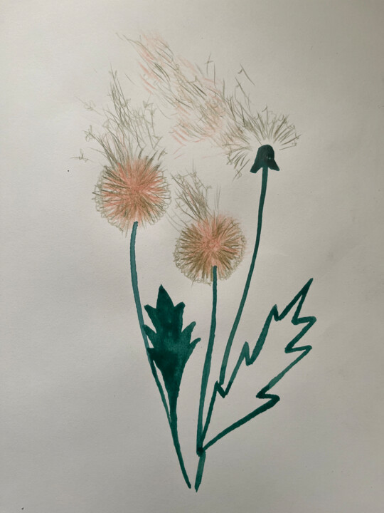 Drawing titled "Dandelions" by Anna Gabo, Original Artwork, Pencil