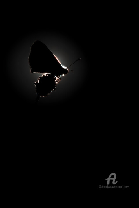 Éclipse Fotografia