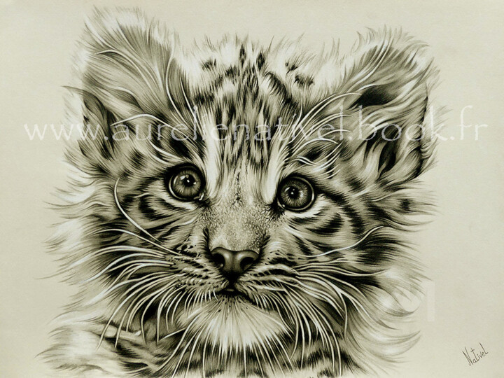 图画,  11.8x15.8 in 