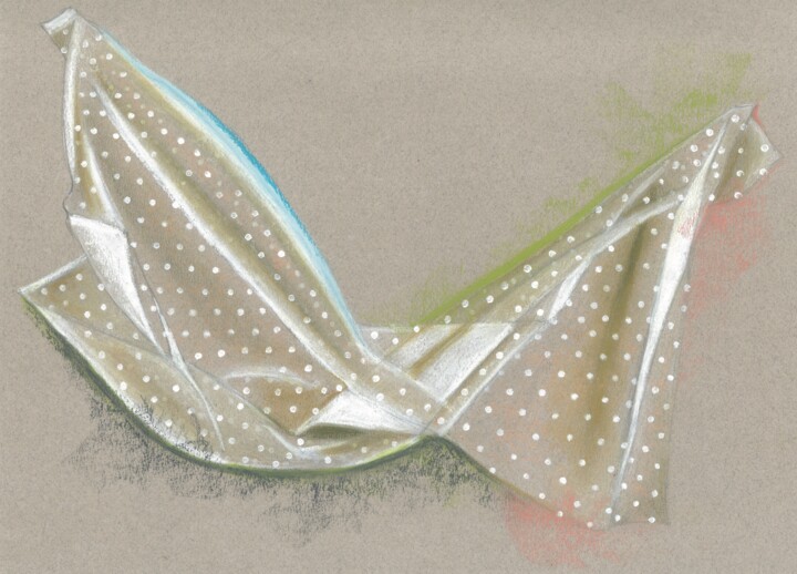 Tulle Two 图画, 12x16 in