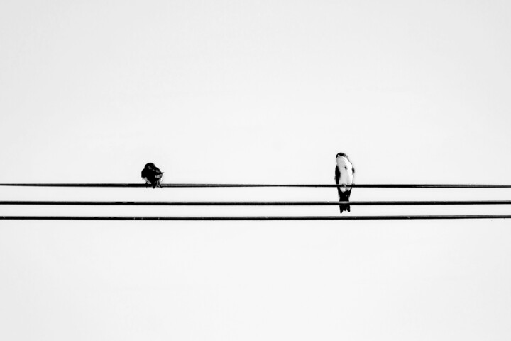 Intervenções Urbanas 10 摄影, 27.6x39.4 in