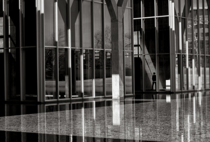 Photography titled "Looking at Art II" by Frank Verreyken, Original Artwork, Digital Photography