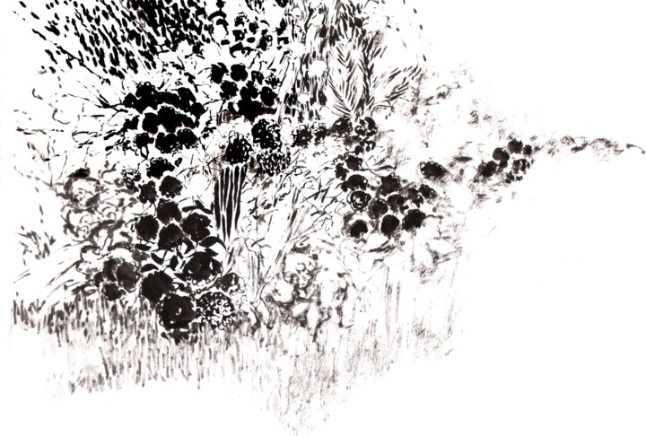 图画 标题为“Hortensia à Locronan” 由Dominique Leblanc, 原创艺术品, 墨